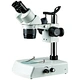 Binocular Stereo Microscope
